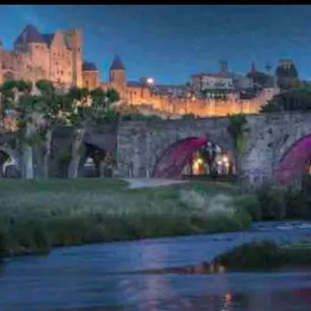 Appartement T2 Avec Vue Chateau Carcassonne Zewnętrze zdjęcie