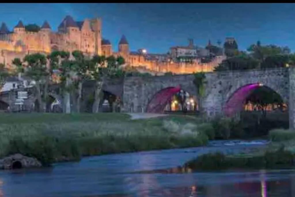 Appartement T2 Avec Vue Chateau Carcassonne Zewnętrze zdjęcie