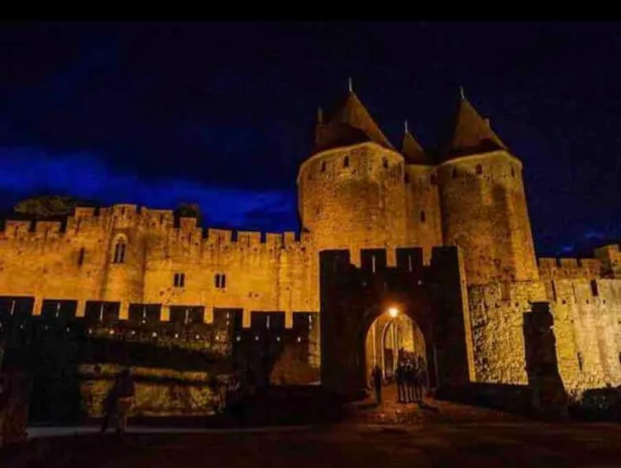 Appartement T2 Avec Vue Chateau Carcassonne Zewnętrze zdjęcie