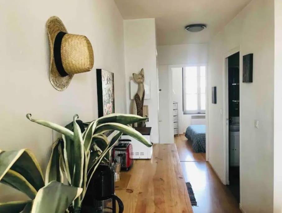 Appartement T2 Avec Vue Chateau Carcassonne Zewnętrze zdjęcie