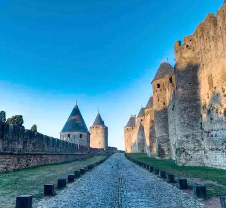 Appartement T2 Avec Vue Chateau Carcassonne Zewnętrze zdjęcie