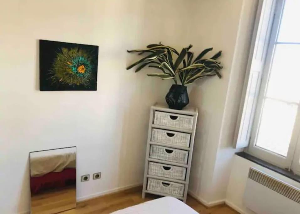 Appartement T2 Avec Vue Chateau Carcassonne Zewnętrze zdjęcie